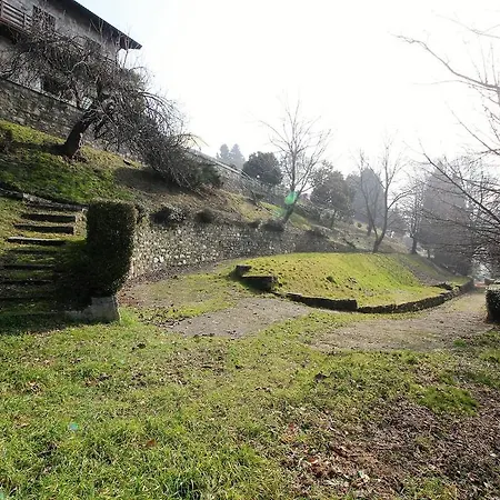 Archi